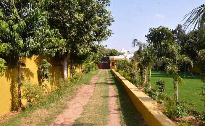 Hotel Tiger Regency Resort Sawai Madhopur Extérieur photo